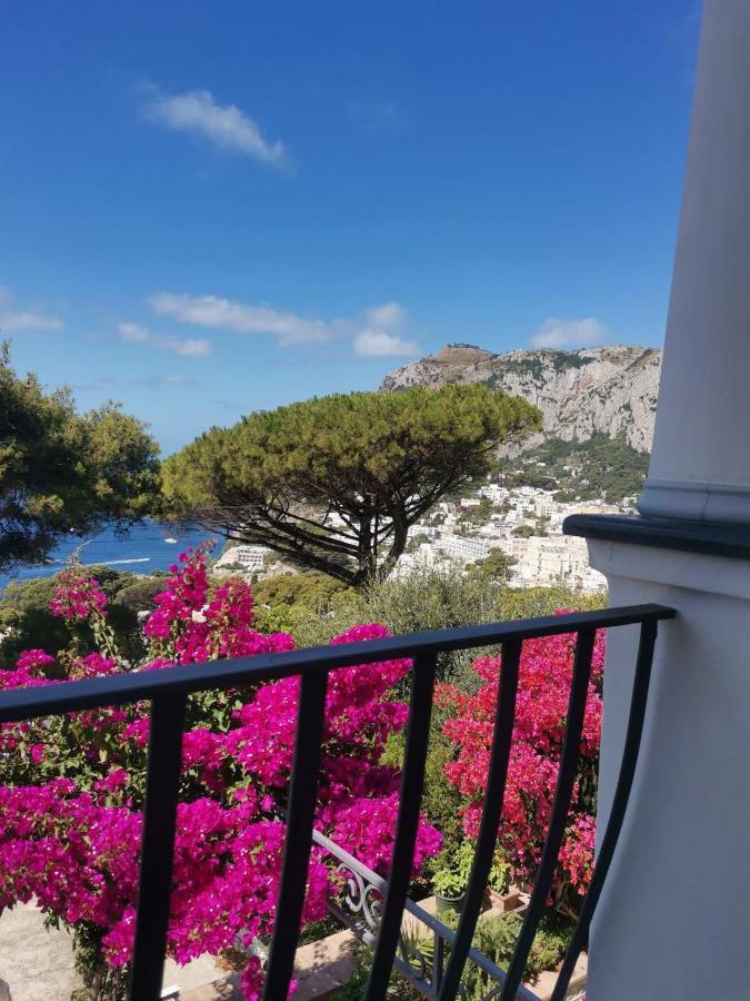 Marvelous Sea View Villa Capri Bagian luar foto