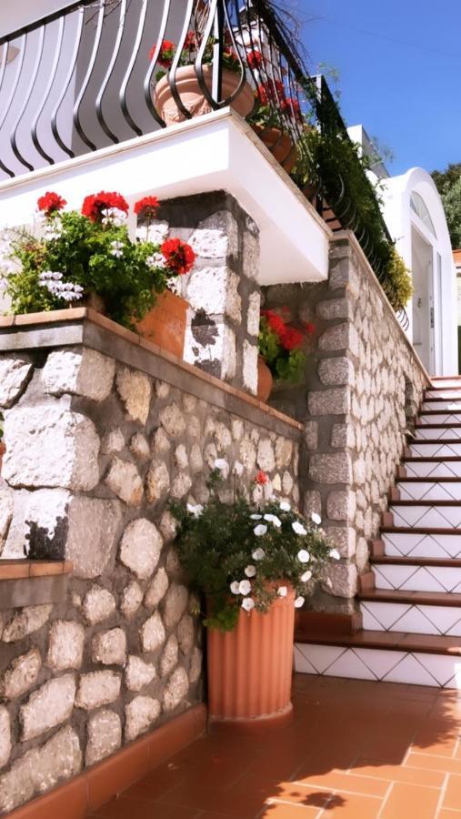 Marvelous Sea View Villa Capri Bagian luar foto